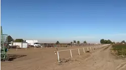 Arrestan a más de 100 personas durante operativo en una carrera de caballos en Idaho