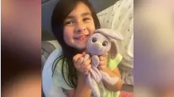 Viral search underway for 'Sprinkles' after Rock Hill girl loses beloved stuffed bunny on Metro-North