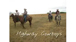 All The Pretty Horses