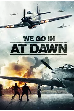 We Go In At Dawn