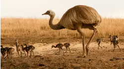 Parents That Suck