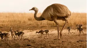 Parents That Suck