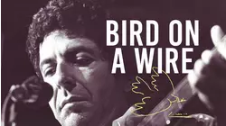 Bird on a Wire