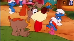 Ya Pitufaron Al Cachorro