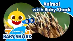 Animal with Baby Shark