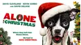 Alone for Christmas