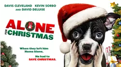 Alone for Christmas
