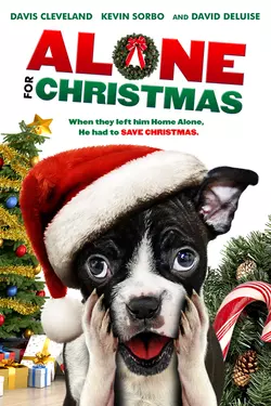 Alone for Christmas