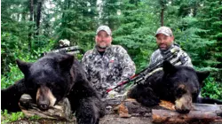 Monster Bruins on the Cree River