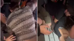 Video shows woman unconscious after assault at Rose Bowl concert