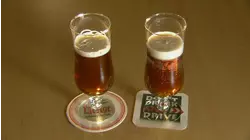 Electric Stand-Up Vehicles