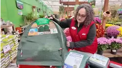 Watching Your Wallet: Preparing your plants for winter