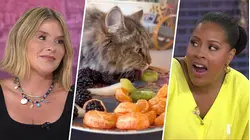 Jenna Puts Sheinelle Over the Edge With This Video of Her Cat