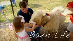 Cow Barn and Chicken House