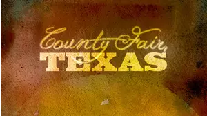 County Fair, Texas