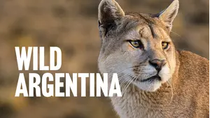 Wild Argentina