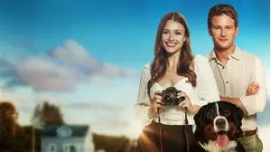 A Picture Perfect Romance