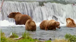 Katmai (1980)