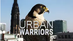 Urban Warrirors