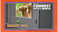 Funniest Pets of the Month