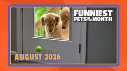 Funniest Pets of the Month | Ep. 3.8