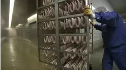 Frankfurters and More