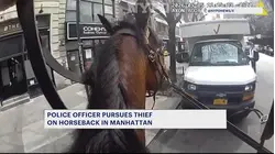 NYPD officer on horse chases down purse snatcher in Manhattan