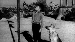 Adventures of Champion: Ep 12 - Bugle for Ricky (1955)
