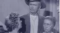 The Beverly Hillbillies