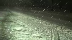 Steady snowfall accumulates in Edison