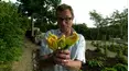 River Cottage Bites Extended Version