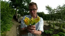 Veg Bites: Planning, Sowing and Planting