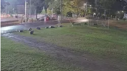 Video shows gunman fire nine shots at group in Stratford park