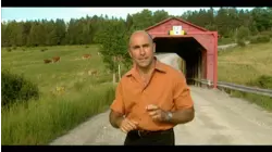 Les Fougères