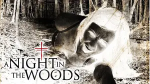 A Night in the Woods
