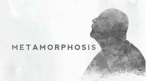 Metamorphosis