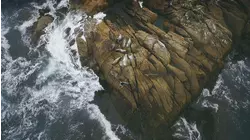 Tides