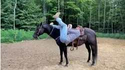 Humans vs. Outdoor Sports