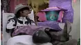 Pee-wee's Playhouse
