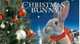 The Christmas Bunny