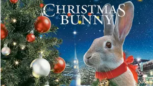 The Christmas Bunny