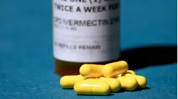 Ivermectin access laws raise safety concerns as calls to poison centers rise