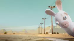 Why did the rabbid cross the road