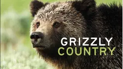 Grizzly Country