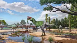 New fossil discovery is a distant relative of T. Rex