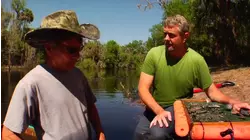 How To Do Tarpon Fishing And Fossil Hunting