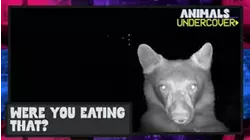 Were You Eating That?