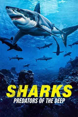Sharks: Predator of the Deep