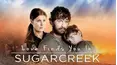Love Finds You in Sugarcreek