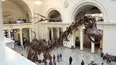 Mysteries at the Museum